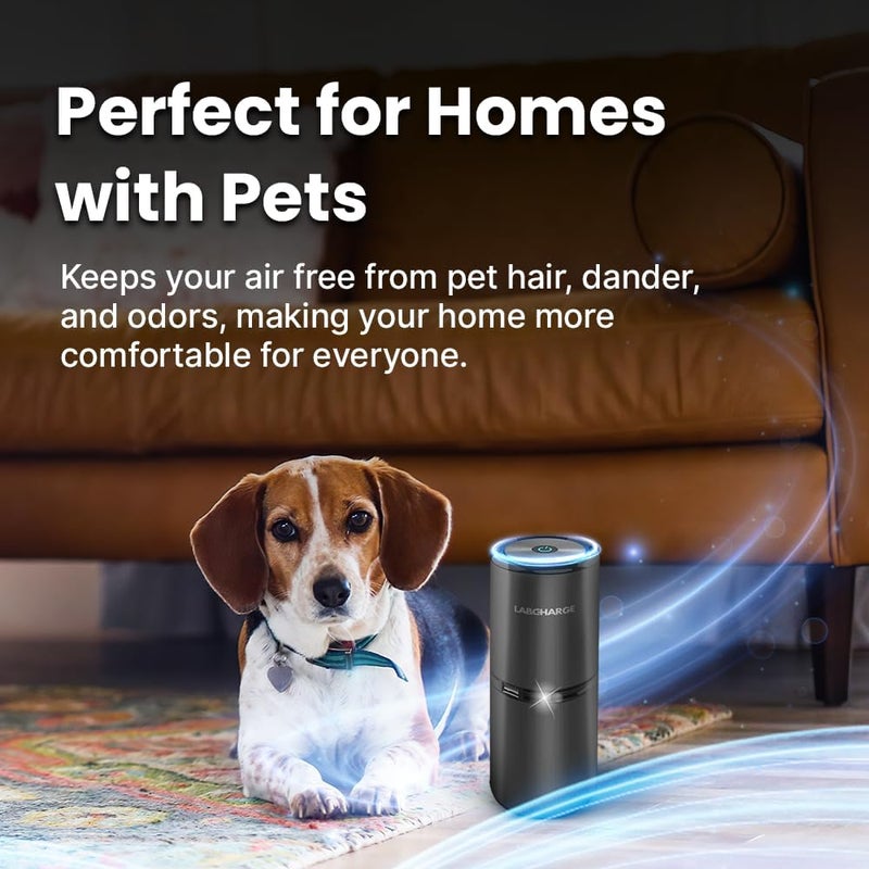 Lab Charge LabCharge Small Ionic Air Purifier for Home & Bedroom – Silent HEPA Filter – Covers 250 Sq Ft - Free Cleaner for Pets, Hair, Smoke, Dust, Odors & Dander – Compact & Black Design - Pack of 2 - Image 3